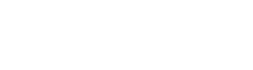 The Night Owl